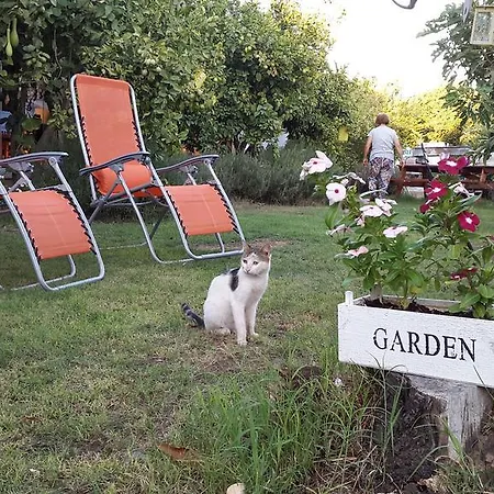 Pendaya Eco Garden