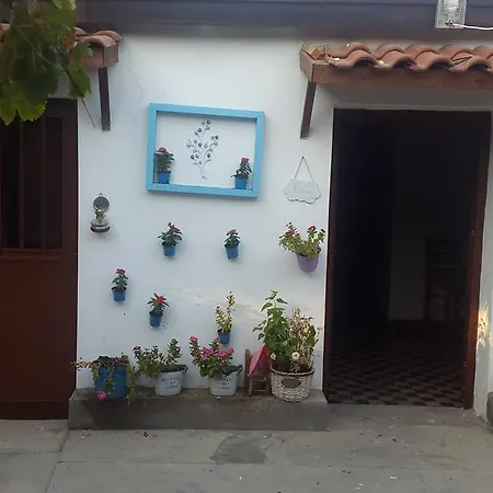 Pendaya Eco Garden Morphou